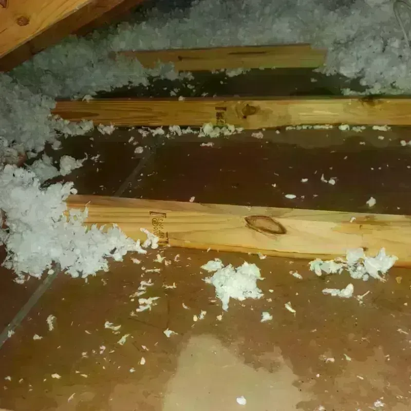 Attic Water Damage in Hardeman County, TN